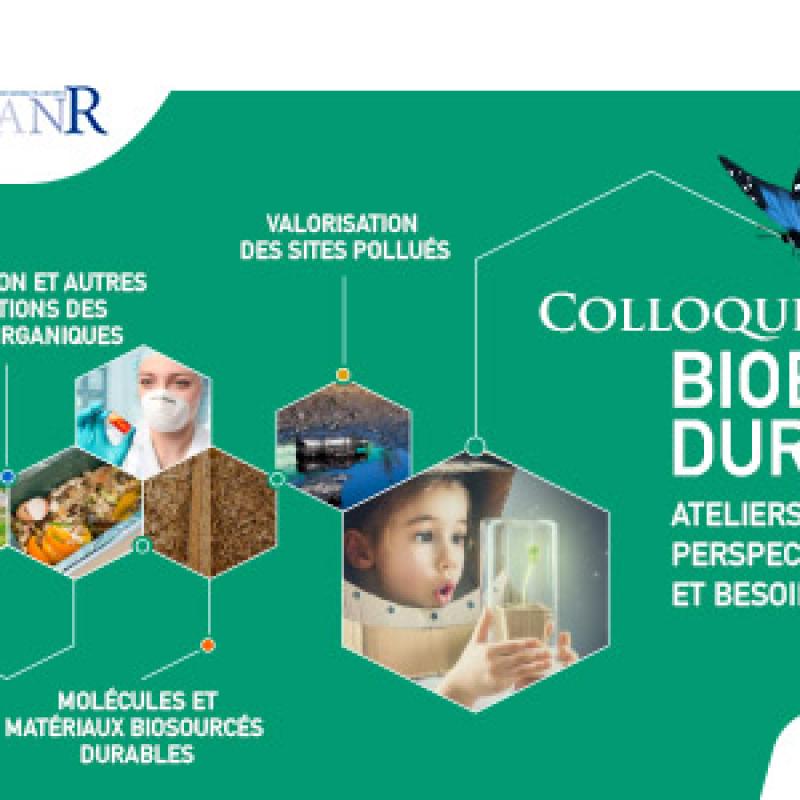 Bio economie durable